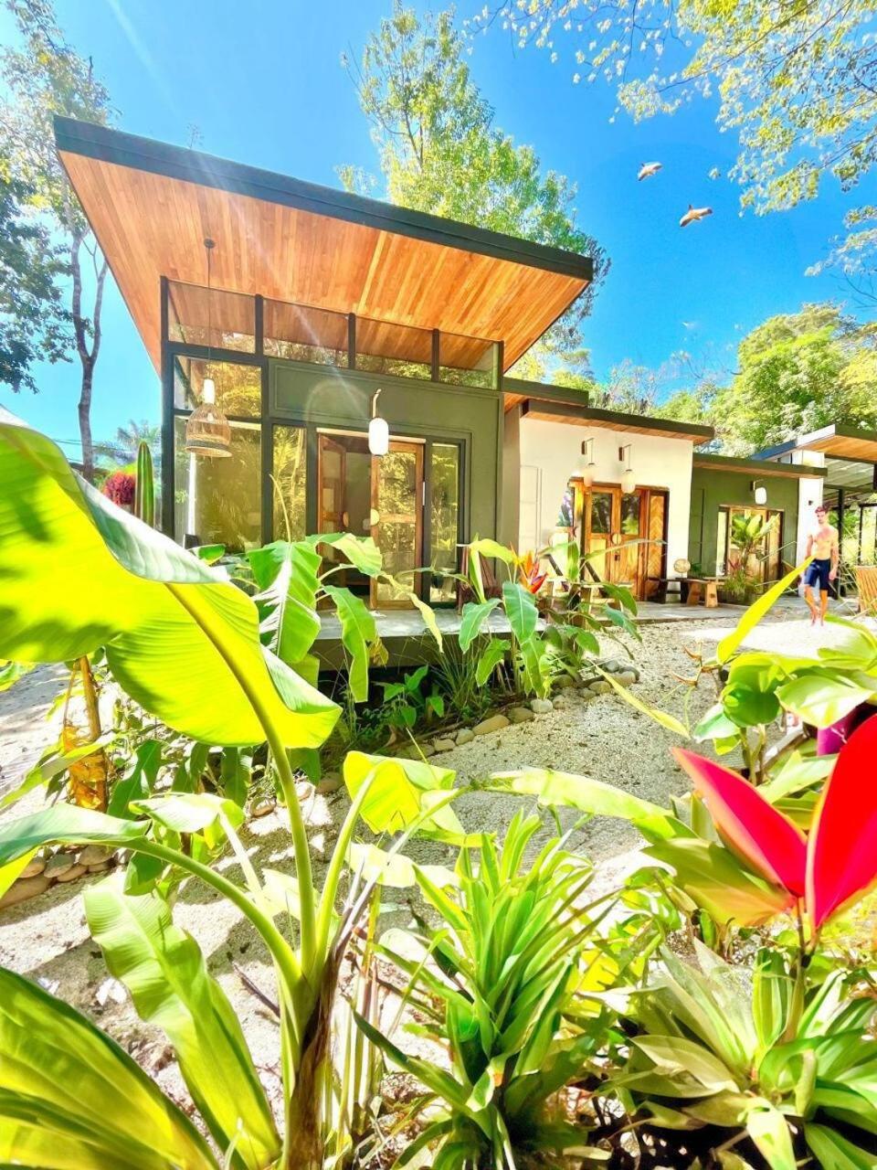 הוילה Playa Santa Teresa  Ikiru House מראה חיצוני תמונה
